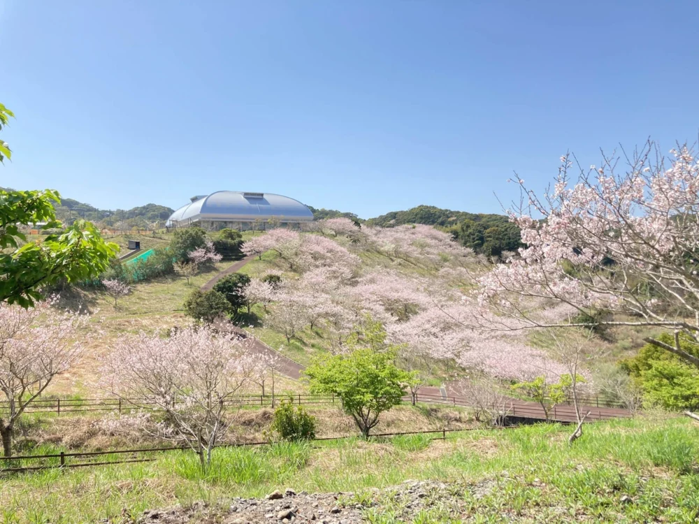 高知縣立室戶廣域公園|高知土佐美居溫泉度假酒店